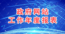 政府网站工作年度报表
