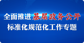 基层政务公开标准化规范化专题