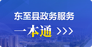 政务服务“一本通”