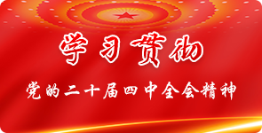 学习贯彻党的二十届四中全会精神