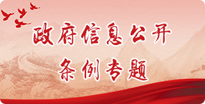 政府信息公开条例专题